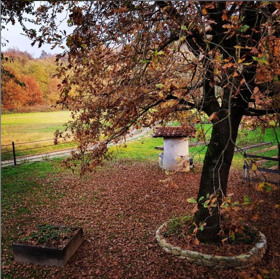 Cameloth B&B Settimo Rottaro 외부 사진